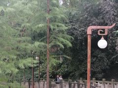 -重庆彩云湖湿地公园