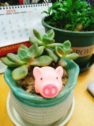 -沈阳市妇婴医院