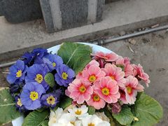 -野渡坡·极致湘菜·庭院餐厅(汉阳店)
