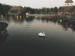 -清迈夜间动物园