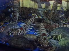 -徐记海鲜(观沙岭|滨江新城店)