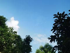 -承启堂中医馆·推拿·针灸·把脉(青羊馆)