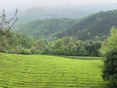 -敬亭山风景名胜区