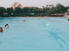 -美的鹭湖探索王国