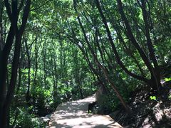 -大岭沟猕猴桃谷风景区