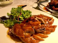 爱尔兰烧鸭-同乐轩