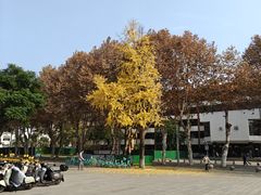 -四川大学(望江校区)