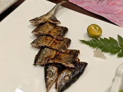 -黑松白鹿(金融街店)