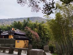 -宝岩生态观光园