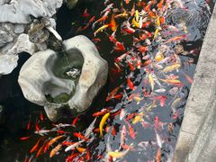 -西林禅寺