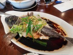 清蒸鱼-蓬莱小馆 Joyful Restaurant