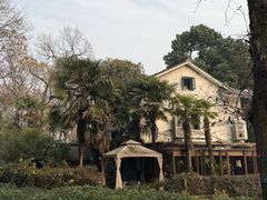 -野蔓果·山野菜(西湖景区·龙井茶田店)