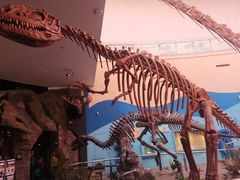 -陕西自然博物馆