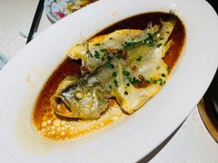 潮汕普宁豆蒸黄花鱼-维园悦谱·海派家常菜(乌鲁木齐南路店)