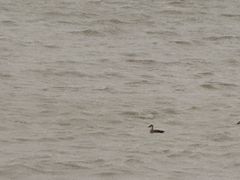 -苏州吴中太湖旅游区