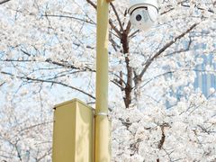 -西北湖绿化广场