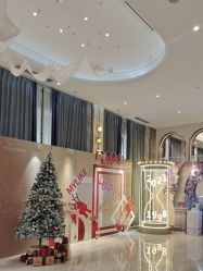 -深圳美莱医疗美容医院