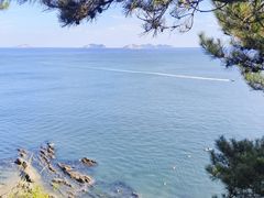 -棒棰岛宾馆景区