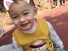 -敬亭山风景名胜区