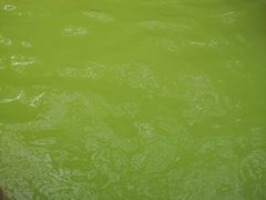 -天源吉布世温泉水乐园