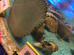-潮福汇