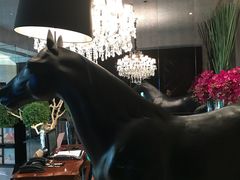 -苏浙总会(国金中心店)