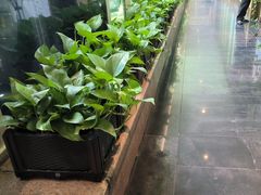 -一澜江宴·江景地标楚菜(江滩公园店)