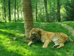 -北京野生动物园