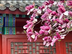 -宣南文化博物馆