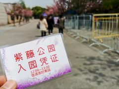 -嘉定紫藤园
