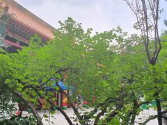 -哈尔滨极乐寺