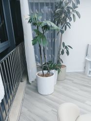 -HEYAN荷妍专业脱毛连锁机构