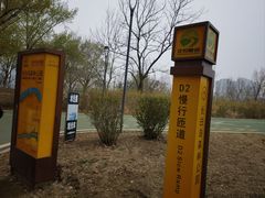 -长白岛森林公园