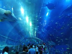 -成都浩海立方海洋公园