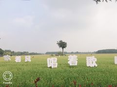 -嘉北郊野公园