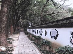 -上海佘山国家森林公园天马山园