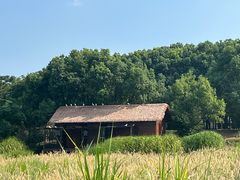 -良渚古城遗址公园