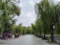 -长春市南湖公园