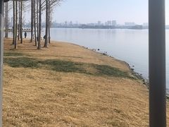 -无锡蠡湖国家湿地公园-蠡园