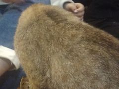 -万小咖.猫咖(中山路天虹店)