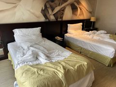 -国家会议中心大酒店