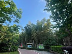 -马仁奇峰