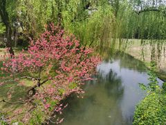 -柳莺湖上·湖景餐厅·江南菜(西湖店)