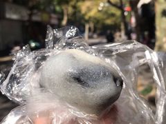 双酿团子-江南春(中山中路店)