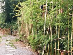 -远山有窑