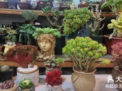 -双季花艺园艺市场(浦东店)