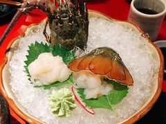 小青龙-初花·日本料理