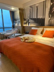 -贝瑞佳月子会所(杭州旗舰店)