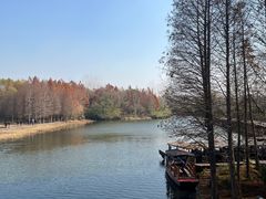 -溱湖国家湿地公园