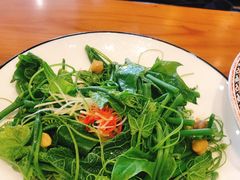 丝瓜尖-巴依老爷新疆美食(常营店)